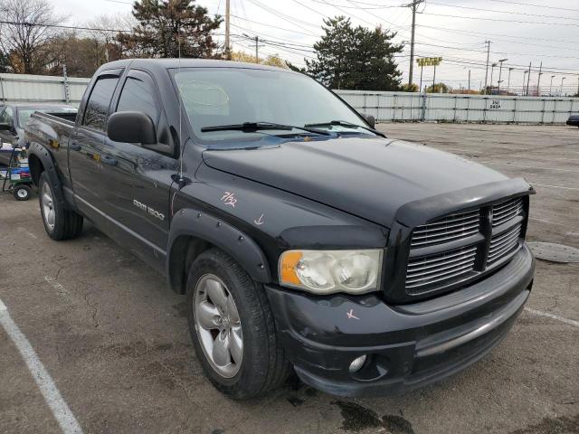 DODGE RAM 1500 S 2003 with VIN 1D7HA18D93S316671 - Photo from auction