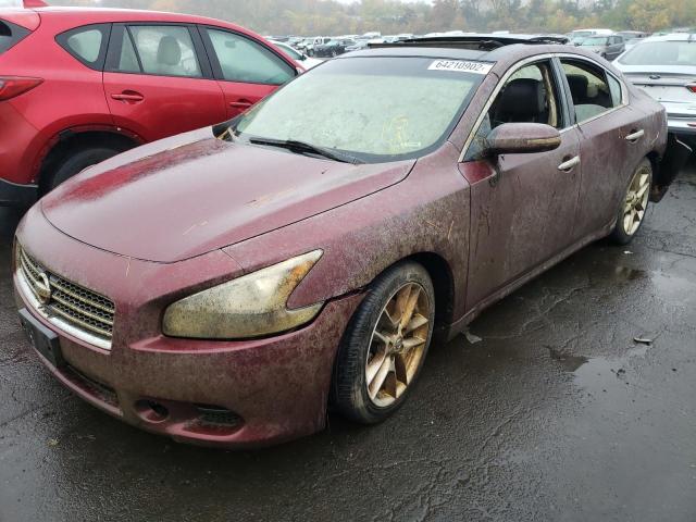 Photo 2 from auction – 2011 NISSAN MAXIMA S with VIN 1N4AA5AP1BC815258