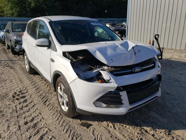 FORD ESCAPE SE 2014 with VIN 1FMCU0GX0EUC03101 - Photo from auction