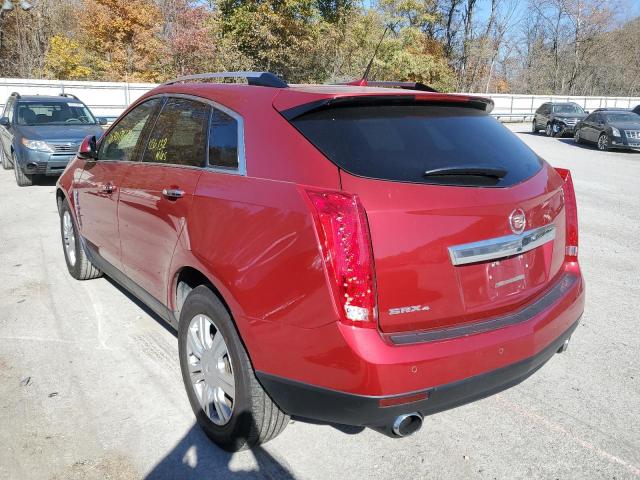 Photo 3 from auction – 2011 CADILLAC SRX LUXURY with VIN 3GYFNDEY8BS596353