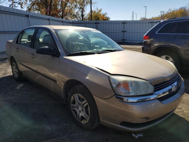 CHEVROLET MALIBU 2004 with VIN 1G1ZS52F64F195114 - Photo from auction