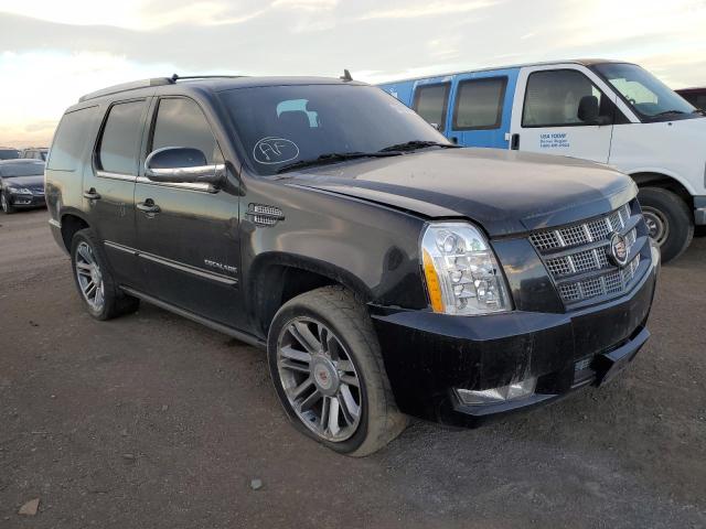 CADILLAC ESCALADE P 2013 with VIN 1GYS4CEF2DR156063 - Photo from auction