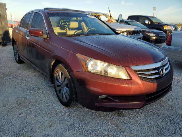 HONDA ACCORD EXL 2011 with VIN 1HGCP3F83BA021611 - Photo from auction