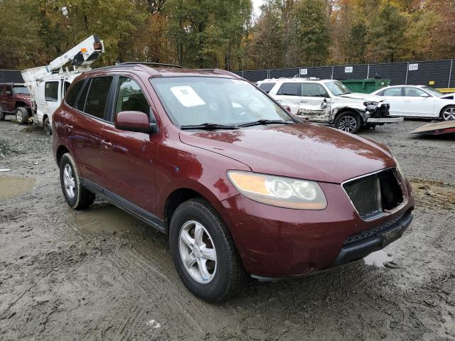 HYUNDAI SANTA FE G 2007 with VIN 5NMSG13D17H090391 - Photo from auction