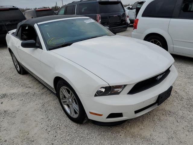 FORD MUSTANG 2011 with VIN 1ZVBP8EM2B5100800 - Photo from auction