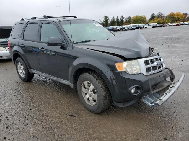 FORD ESCAPE LIM 2010 with VIN 1FMCU0E79AKB82533 - Photo from auction
