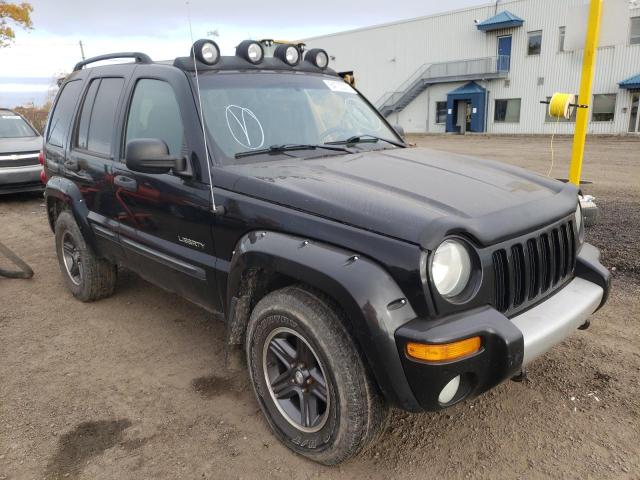 JEEP LIBERTY RE 2004 with VIN 1J4GL38K84W312495 - Photo from auction