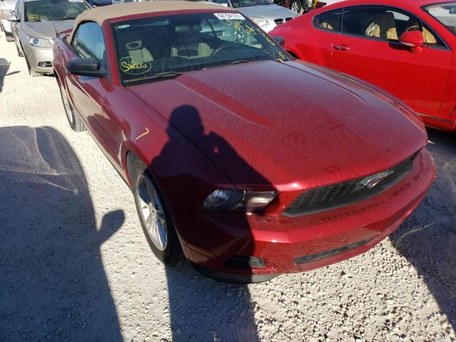 FORD MUSTANG 2012 with VIN 1ZVBP8EM5C5216963 - Photo from auction