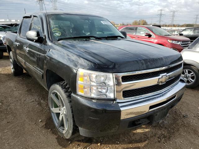 CHEVROLET SILVERADO 2009 with VIN 3GCEC23C59G107696 - Photo from auction