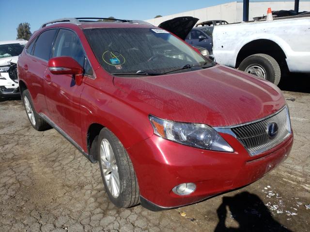 LEXUS RX 450 2011 with VIN JTJBC1BA1B2036313 - Photo from auction