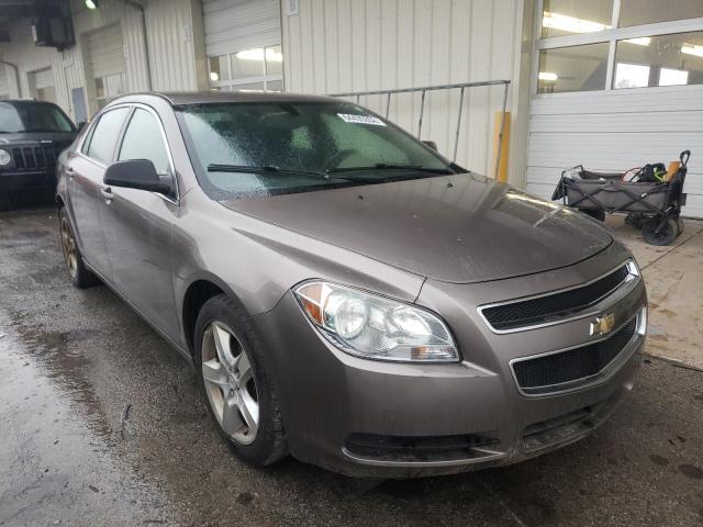 CHEVROLET MALIBU LS 2010 with VIN 1G1ZB5EB7AF245930 - Photo from auction