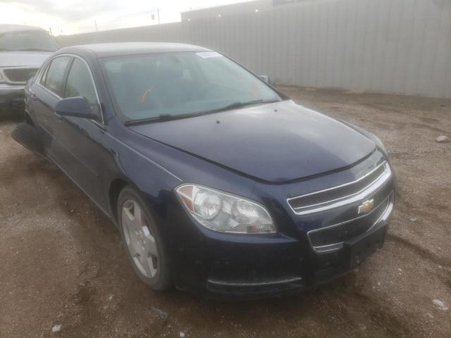 CHEVROLET MALIBU 2LT 2010 with VIN 1G1ZD5E73A4125480 - Photo from auction