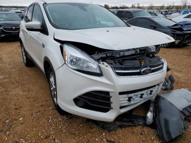 FORD ESCAPE SEL 2013 with VIN 1FMCU0H9XDUC35102 - Photo from auction