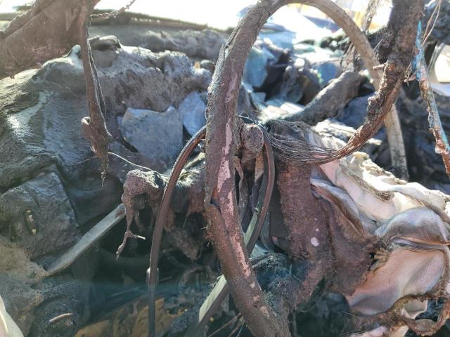 Photo 8 from auction – 2011 CHEVROLET AVALANCHE with VIN 3GNTKGE39BG157504