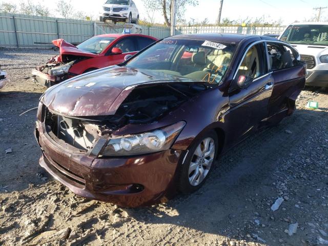 Photo 2 from auction – 2010 HONDA ACCORD EXL with VIN 5KBCP3F87AB018085