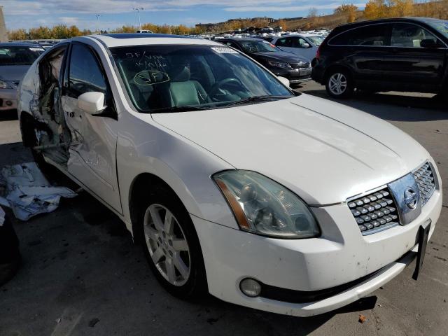 NISSAN MAXIMA SE 2006 with VIN 1N4BA41E36C801896 - Photo from auction