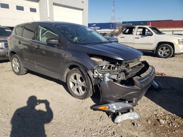FORD ESCAPE SE 2013 with VIN 1FMCU0G96DUB02340 - Photo from auction