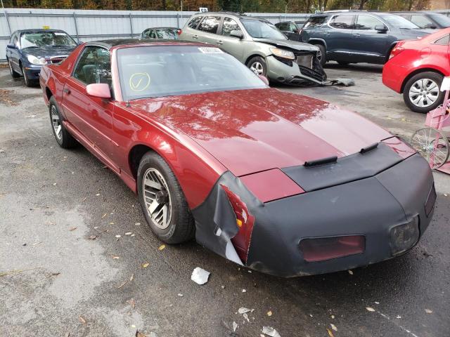 PONTIAC FIREBIRD 1991 with VIN 1G2FS23T6ML235730 - Photo from auction