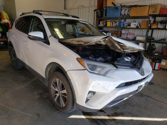 Photo 1 from auction – 2017 TOYOTA RAV4 XLE with VIN JTMRFREV4HJ704013