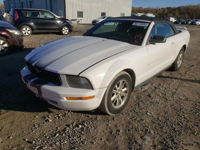 Photo 2 from auction – 2007 FORD MUSTANG with VIN 1ZVFT84N775262565