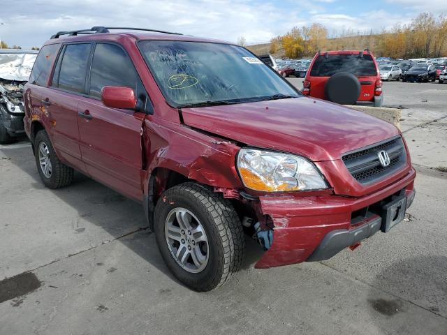 HONDA PILOT EXL 2004 with VIN 2HKYF18544H549667 - Photo from auction