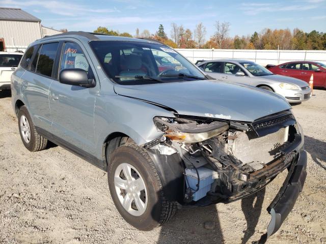 HYUNDAI SANTA FE G 2009 with VIN 5NMSG13D69H260151 - Photo from auction