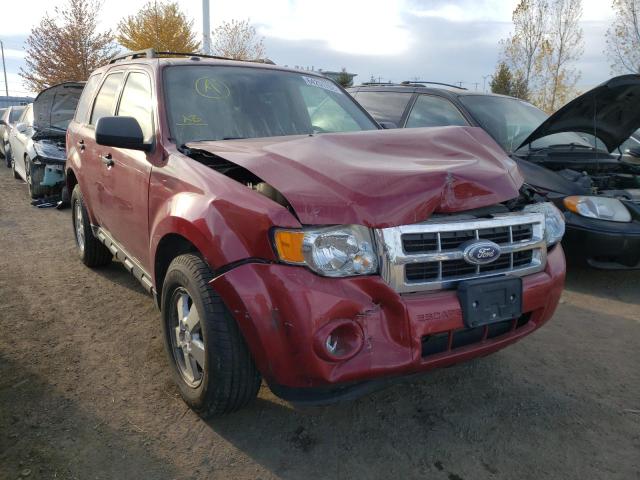 FORD ESCAPE XLT 2011 with VIN 1FMCU0DG6BKA18224 - Photo from auction