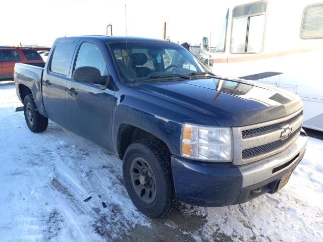 CHEVROLET SILVERADO 2010 with VIN 3GCRKREA6AG279510 - Photo from auction