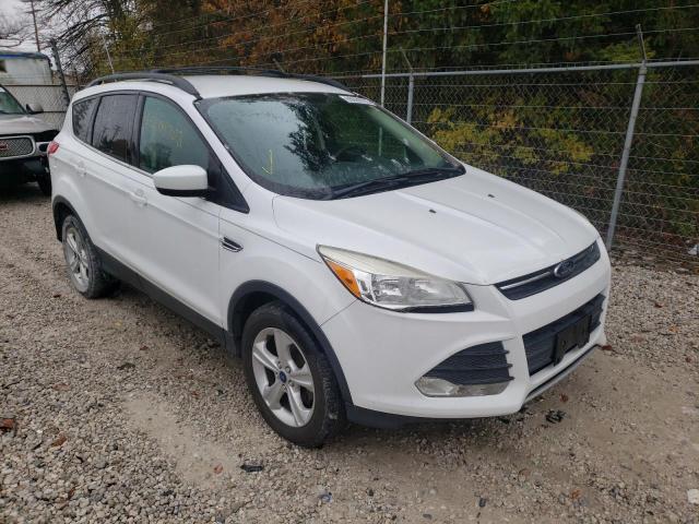 FORD ESCAPE SE 2013 with VIN 1FMCU0GX7DUB33272 - Photo from auction