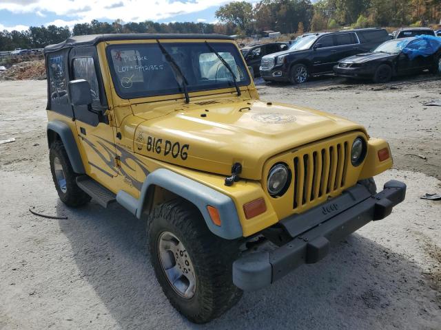 JEEP WRANGLER / 1999 with VIN 1J4FY19S2XP477005 - Photo from auction