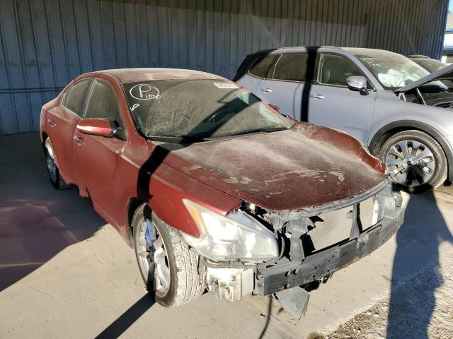 NISSAN MAXIMA S 2009 with VIN 1N4AA51E19C827452 - Photo from auction
