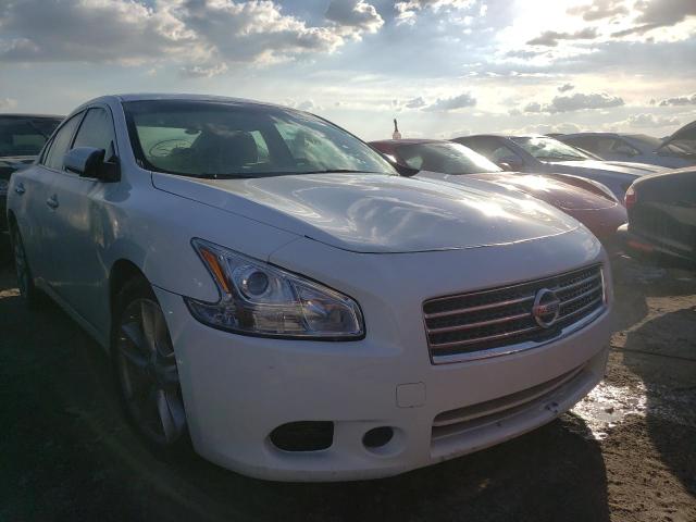 NISSAN MAXIMA S 2009 with VIN 1N4AA51E69C849883 - Photo from auction