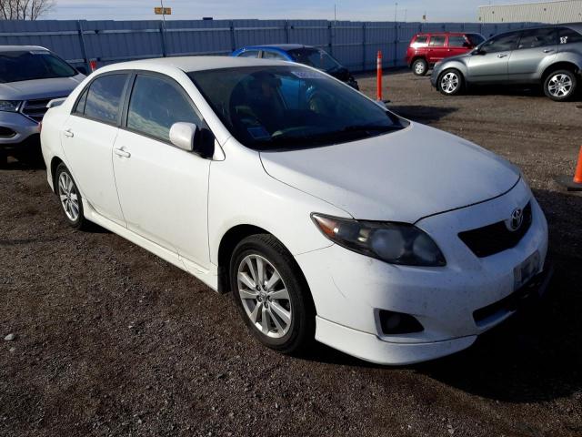 TOYOTA CORROLLA 2010 with VIN 2T1BU4EEXAC466910 - Photo from auction