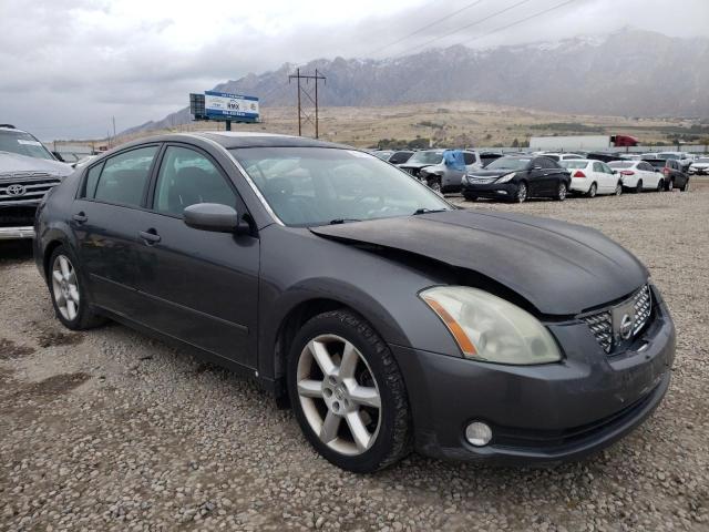NISSAN MAXIMA SE 2006 with VIN 1N4BA41E26C817233 - Photo from auction