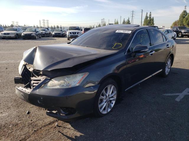 Photo 2 from auction – 2010 LEXUS ES 350 with VIN JTHBK1EG3A2371625