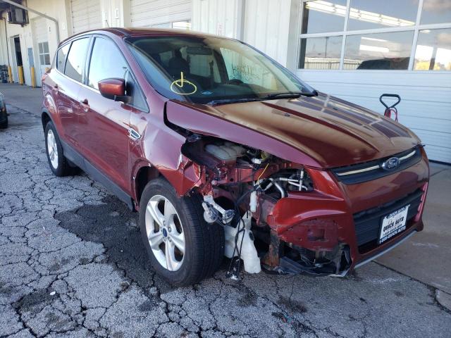 FORD ESCAPE SE 2014 with VIN 1FMCU0GX7EUC70777 - Photo from auction