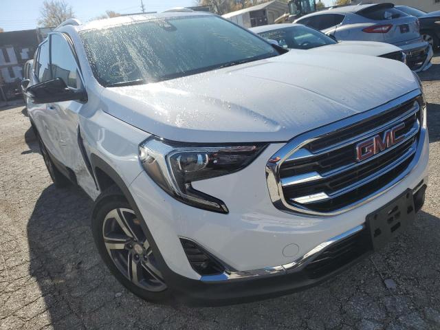 GMC TERRAIN SL 2020 with VIN 3GKALVEVXLL213840 - Photo from auction
