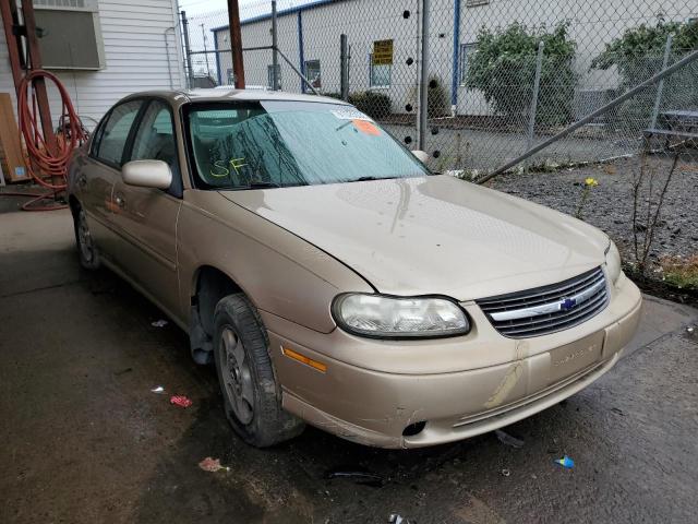 CHEVROLET MALIBU LS 2002 with VIN 1G1NE52J22M678974 - Photo from auction