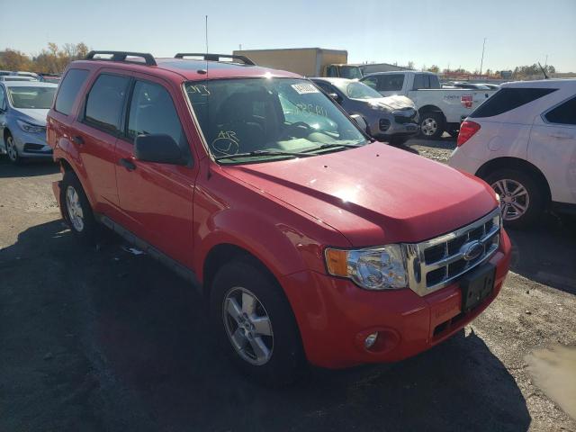 FORD ESCAPE XLT 2009 with VIN 1FMCU03G89KA65959 - Photo from auction