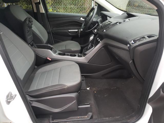 Photo 5 from auction – 2013 FORD ESCAPE SE with VIN 1FMCU0GX7DUB33272