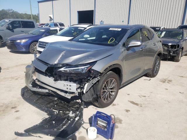 Photo 2 from auction – 2022 LEXUS NX 250 with VIN JTJADCAZ4N5001148