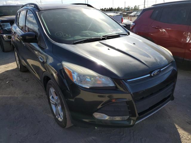 FORD ESCAPE SE 2014 with VIN 1FMCU0GX0EUC16558 - Photo from auction