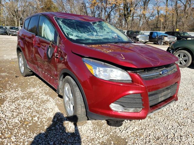 FORD ESCAPE SE 2014 with VIN 1FMCU0GX8EUE25885 - Photo from auction