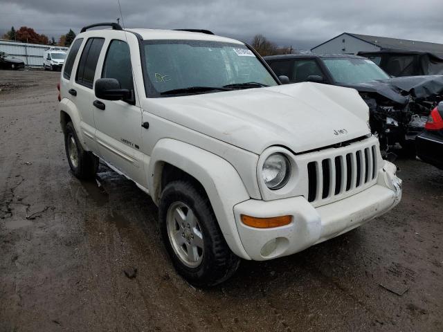 JEEP LIBERTY LI 2003 with VIN 1J4GL58K53W645666 - Photo from auction