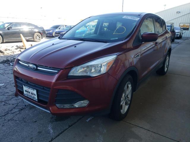 Photo 2 from auction – 2014 FORD ESCAPE SE with VIN 1FMCU0GX7EUC70777