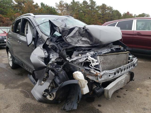 FORD ESCAPE TIT 2013 with VIN 1FMCU0J94DUB15435 - Photo from auction