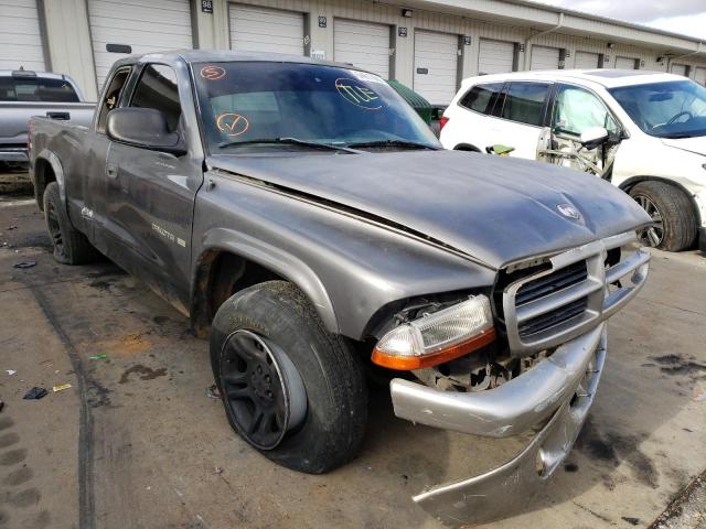 DODGE DAKOTA SLT 2002 with VIN 1B7GL42X62S613447 - Photo from auction