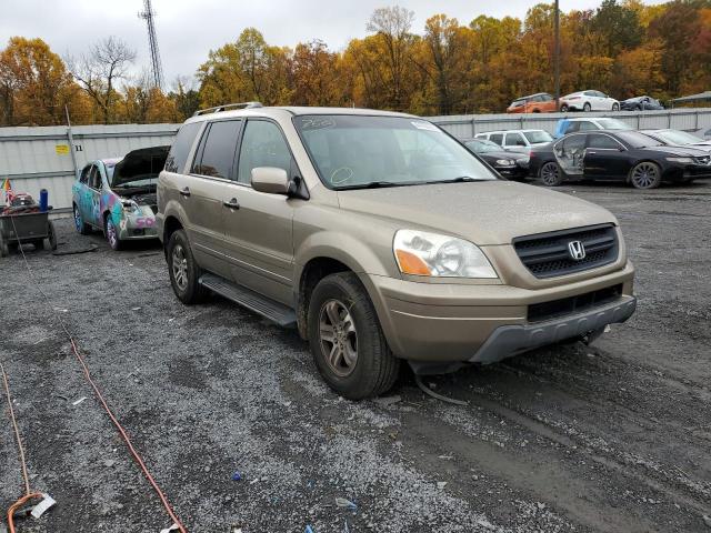 HONDA PILOT EXL 2005 with VIN 5FNYF18555B060808 - Photo from auction