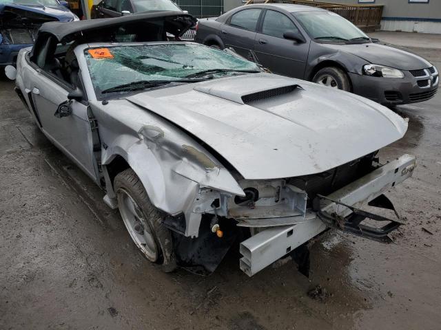 FORD MUSTANG GT 2001 with VIN 1FAFP45X21F252002 - Photo from auction
