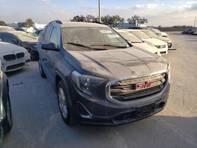 GMC TERRAIN SL 2019 with VIN 3GKALMEV0KL149123 - Photo from auction